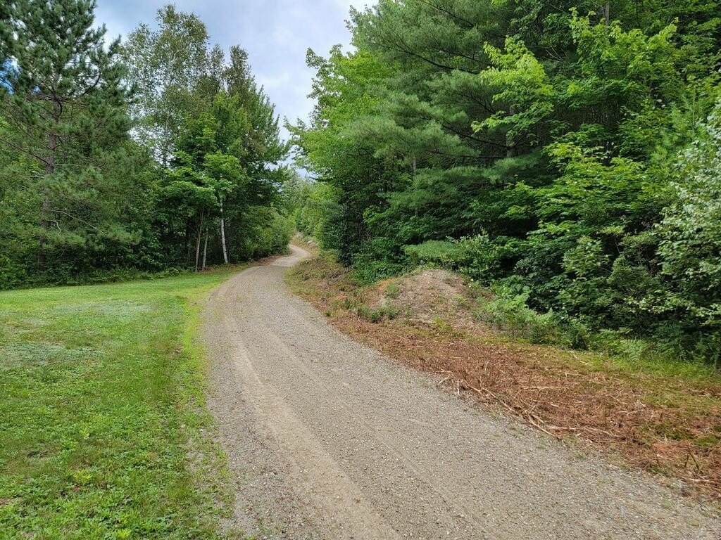 Picture 25