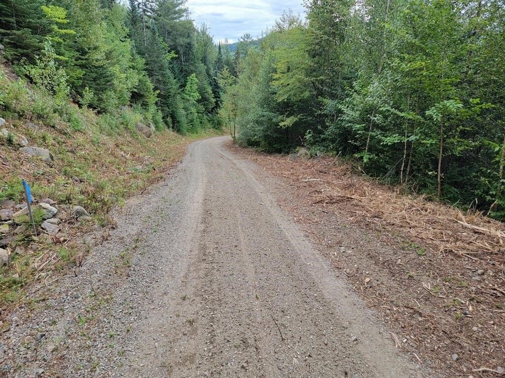 Picture 27