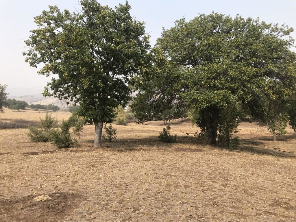 Picture 22