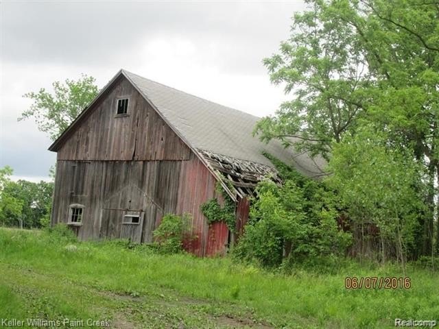 Picture 8