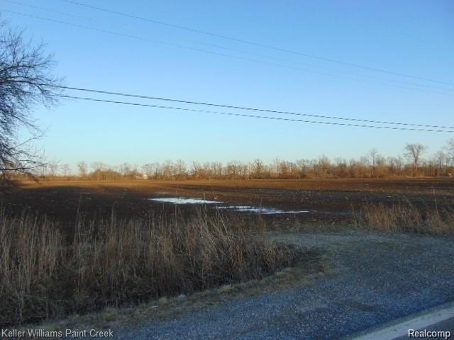 Picture 12