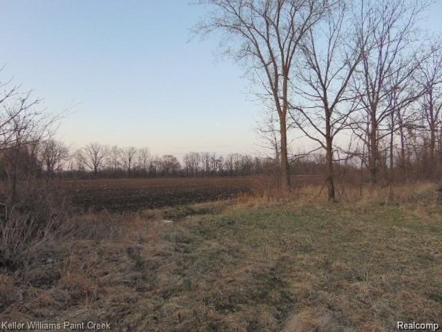 Picture 20