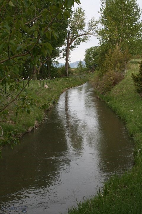 Picture 13