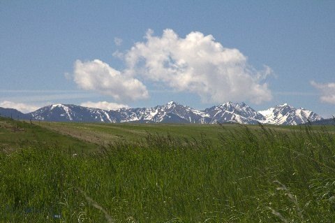 Picture 7