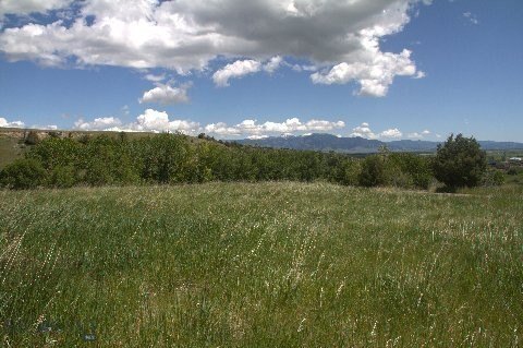 Picture 19