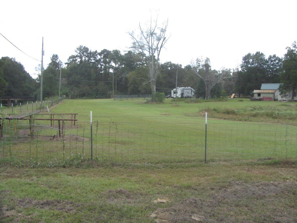 Picture 3