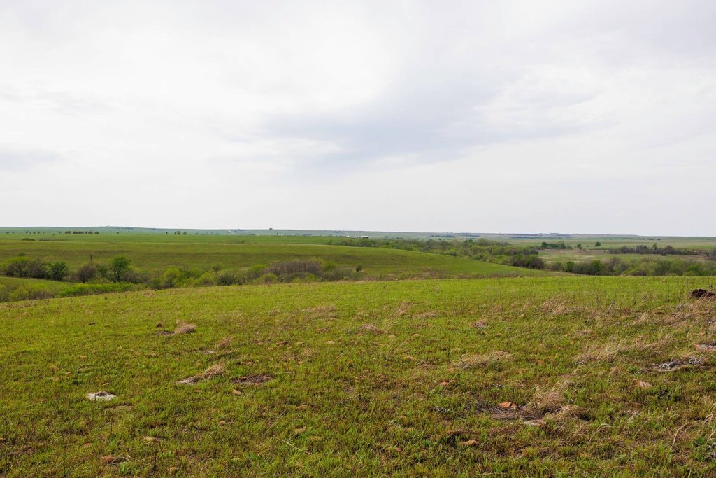 Picture 61