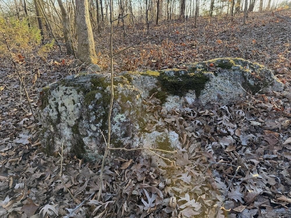 Picture 3