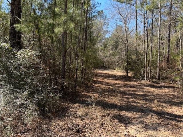 Land For Sale, Sandy Hook