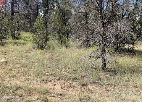 Land, Overgaard, AZ