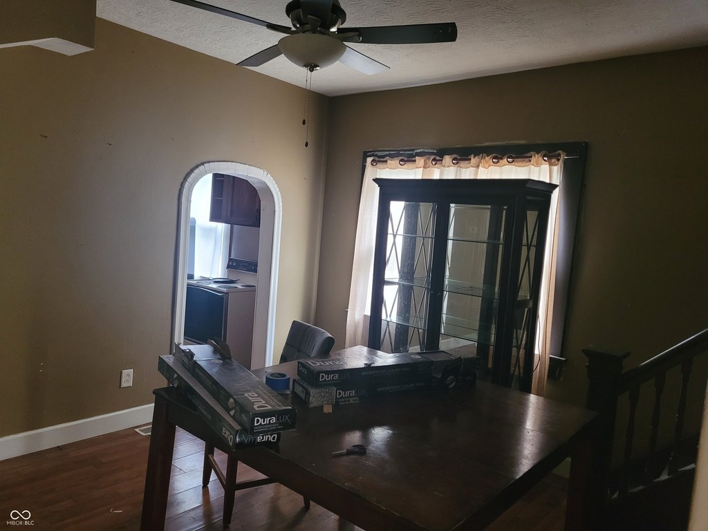 Picture 5