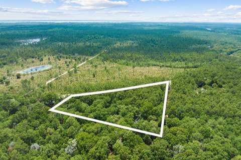 Freeport Wooded Land Parcel