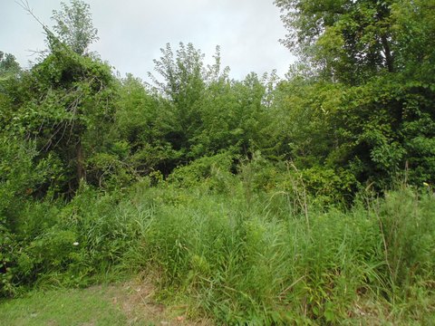 Land in Lake Station, IN