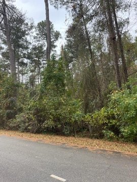 LAND - Americus, GA