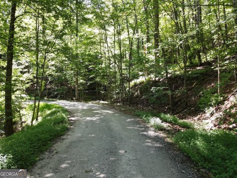 Yonah Mountain Land with Views