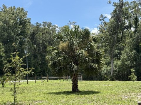 Land, Old Town, FL