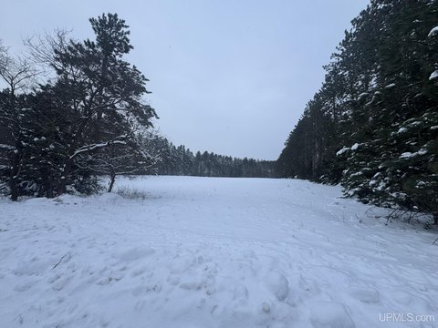 Norway, MI Vacant Land