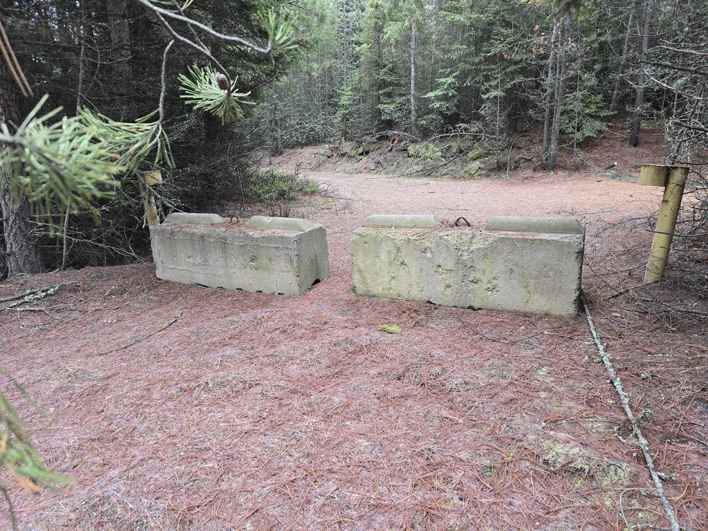 Picture 6