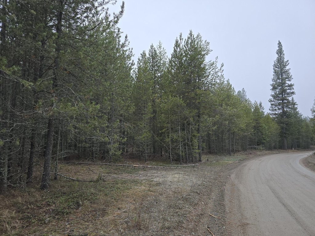 Picture 5
