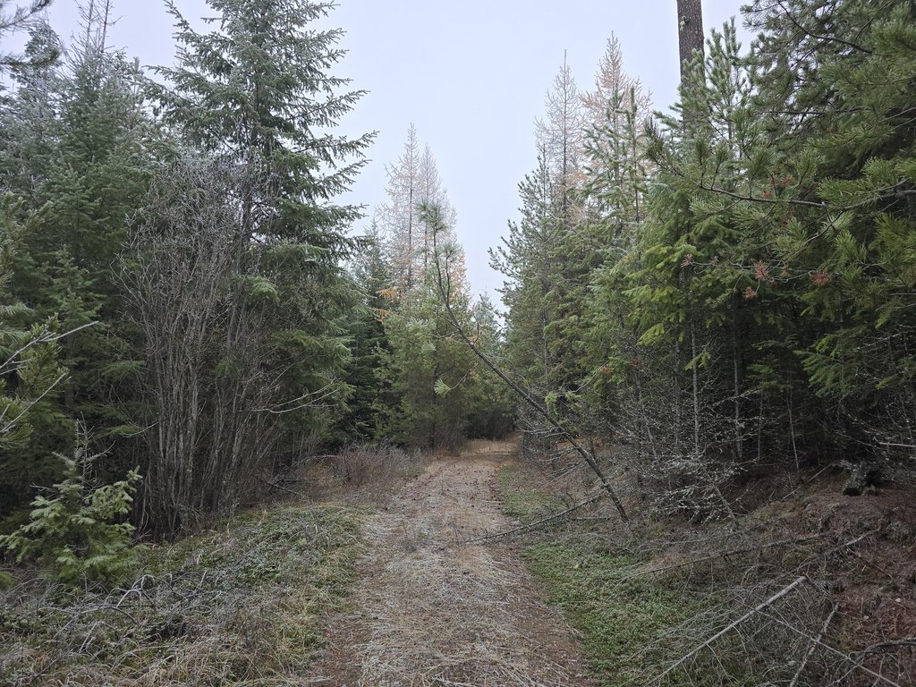Picture 8