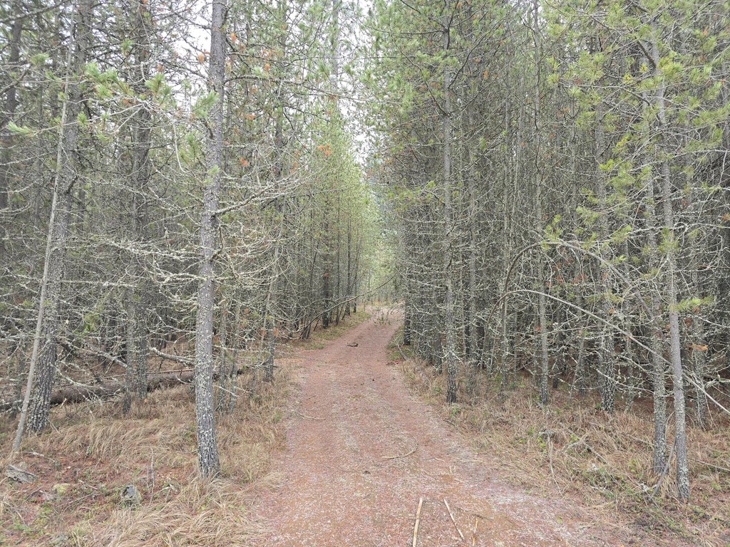 Picture 4