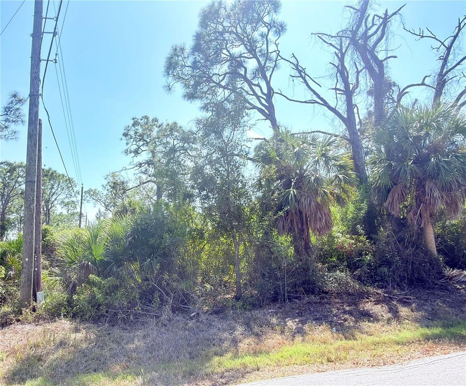 Picture 6