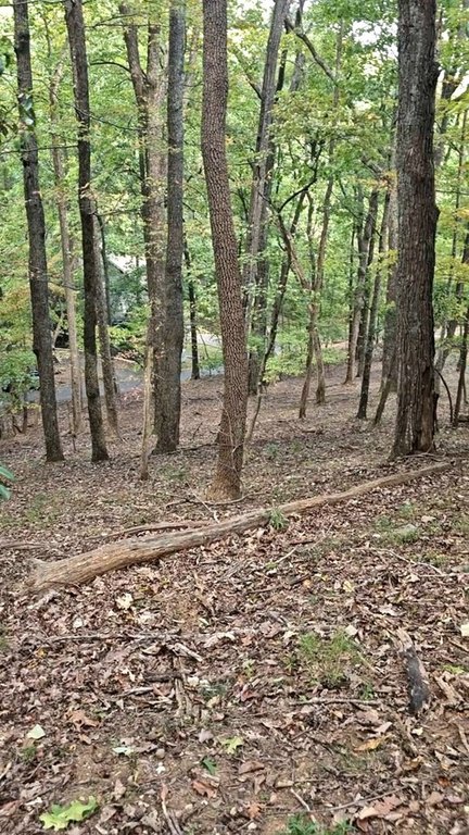 Picture 8