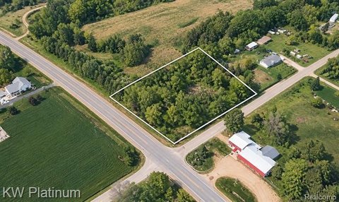 Vacant Land, Trowbridge Twp, MI