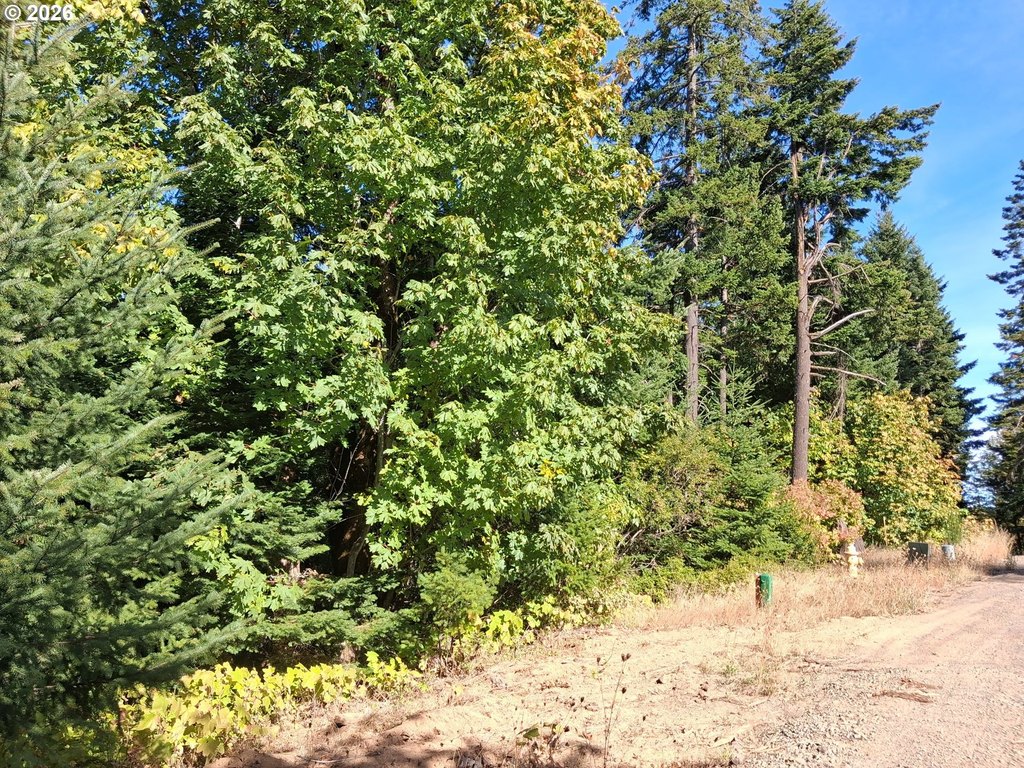 Picture 22