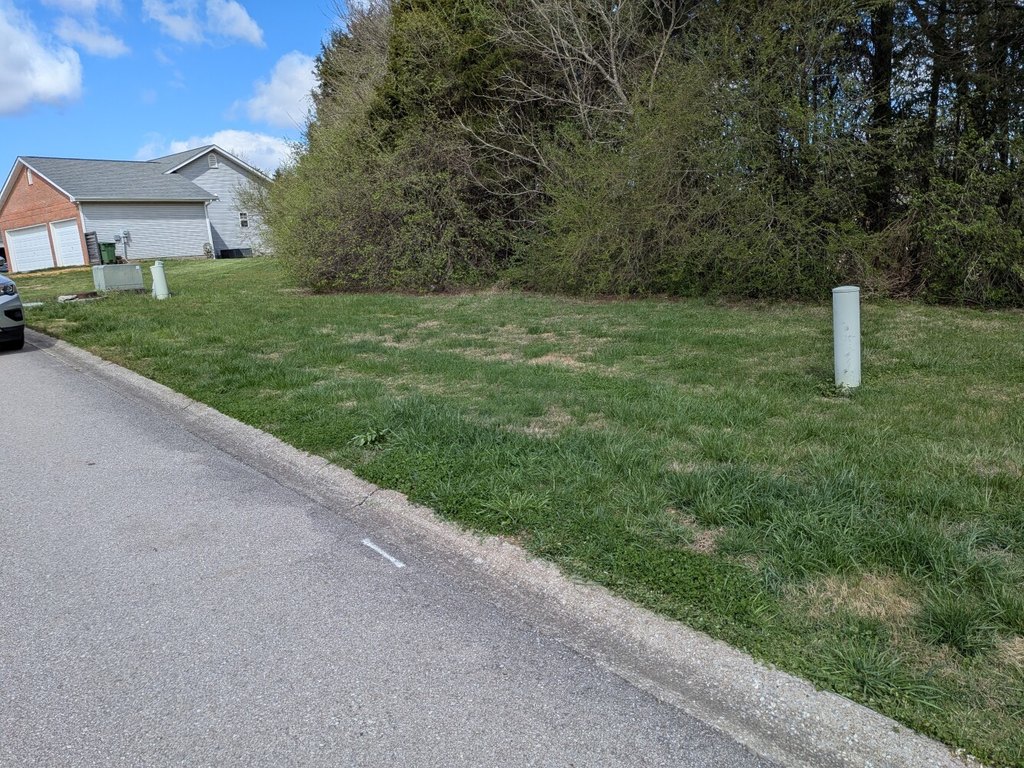 Picture 3