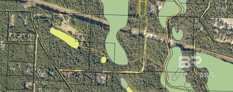 Wooded Acres in Brewton, AL