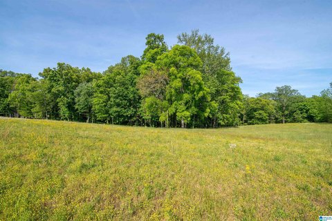 Acreage with Bluff Views