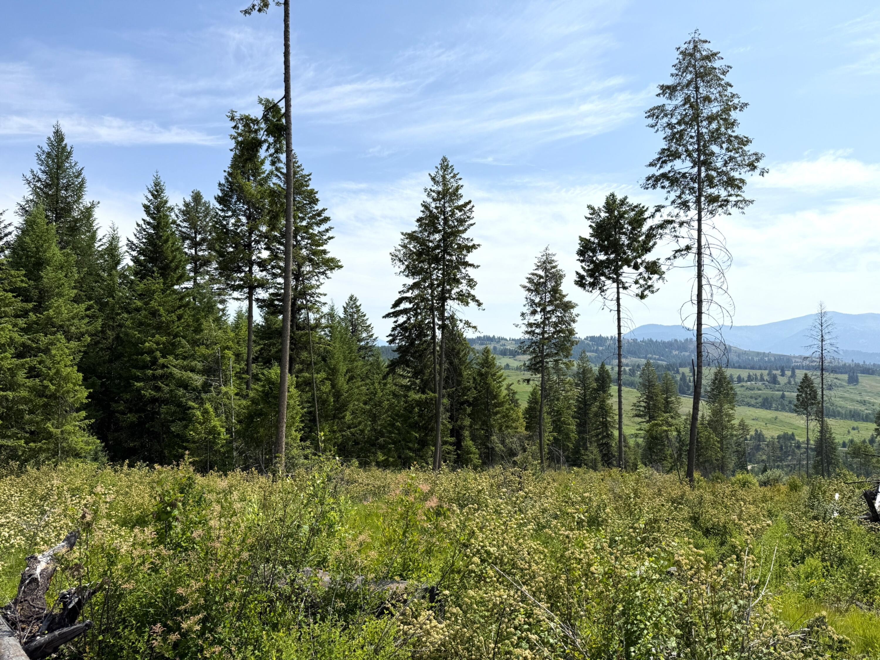 Curlew Acreage with Varied Terrain