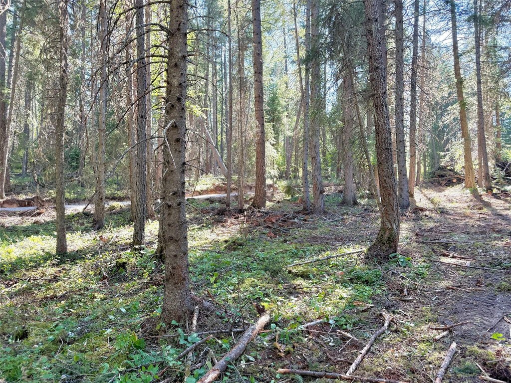 Picture 4