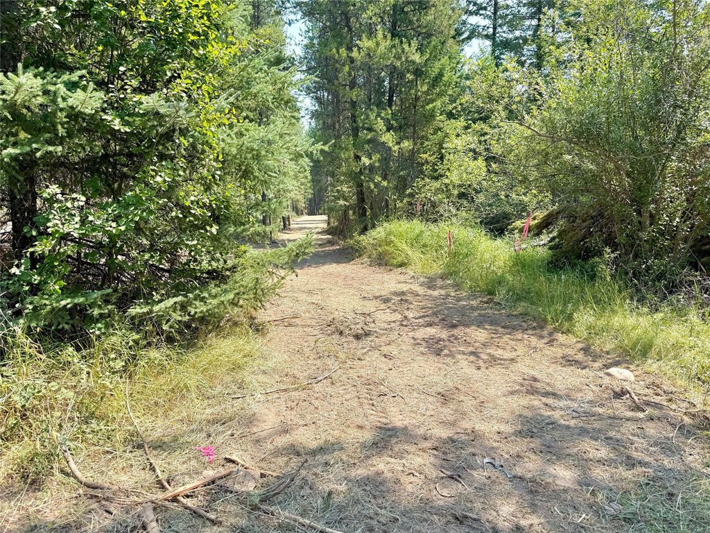 Picture 3