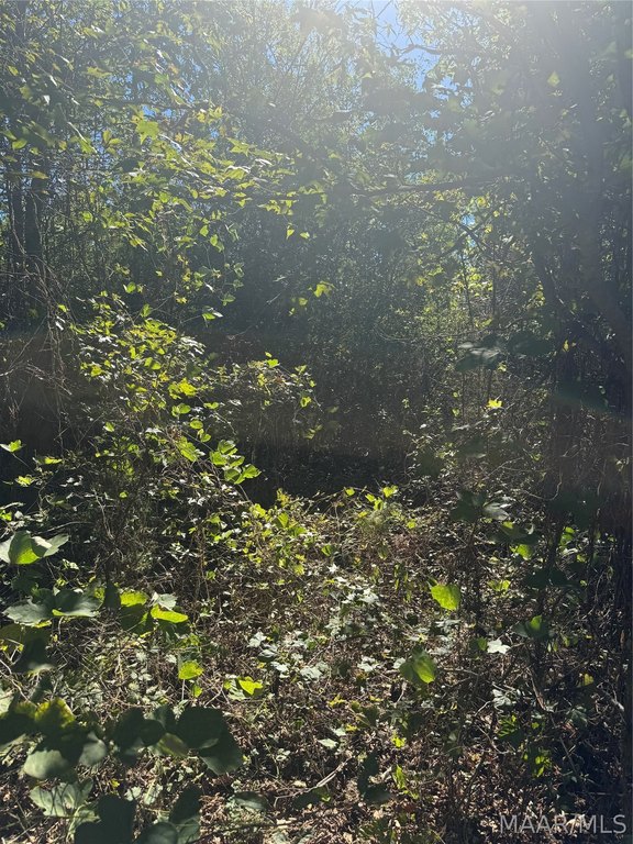 Picture 21