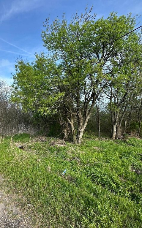 Picture 5