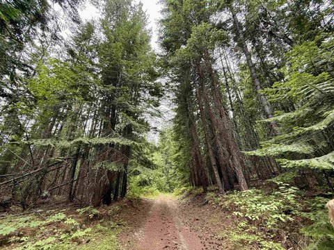 20 Acres of Untouched Land