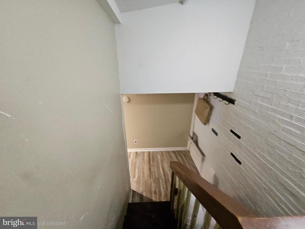 Picture 10