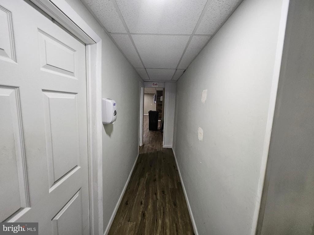 Picture 14