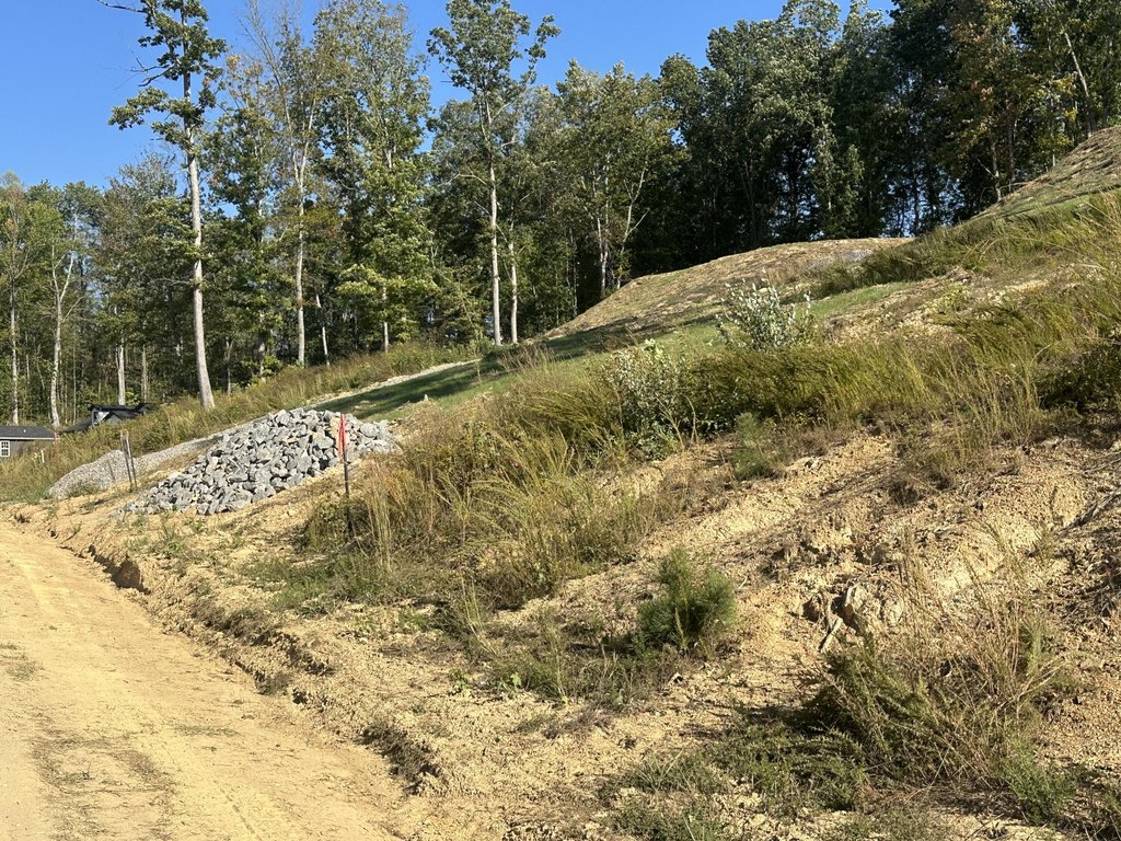 Picture 6