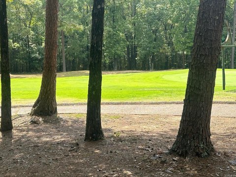 Golf Course Frontage Land