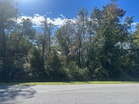 Spacious Lakefront Lot in Orlando