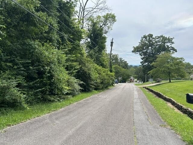 Picture 6