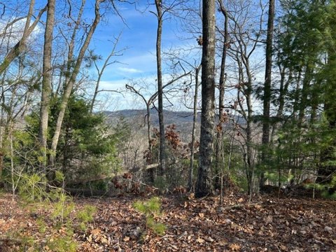 LAND - Hayesville, NC