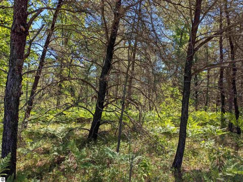 Wooded Recreational Hunting Land