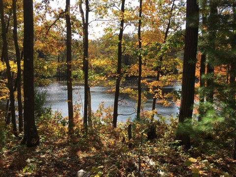 Waterfront Hunting Land Parcel