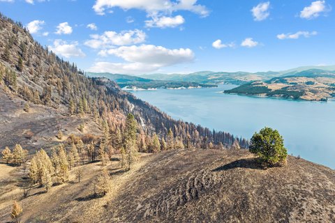 Land, INCHELIUM, WA