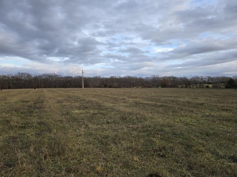 15-Acre Pasture Land Near Rogersville