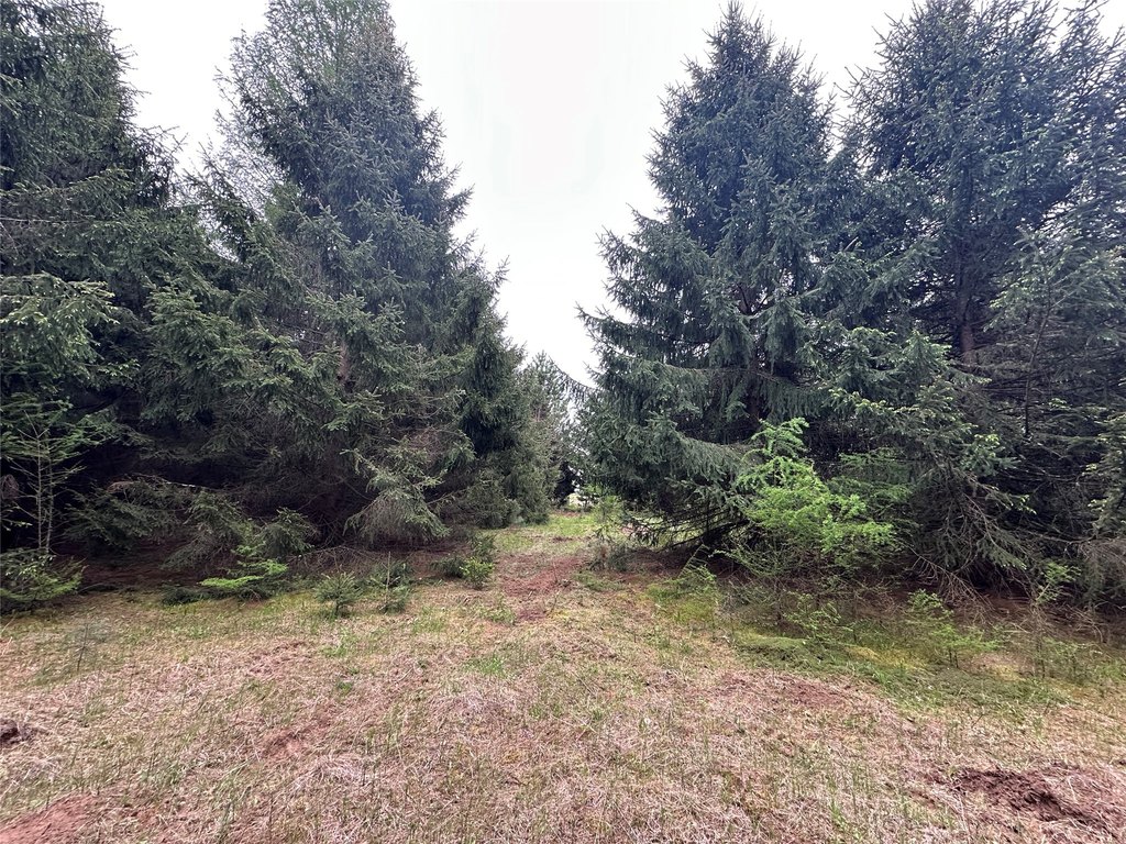 Picture 29